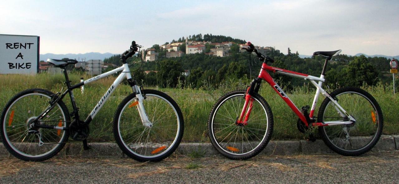 Apartma Furlan Štanjel Esterno foto
